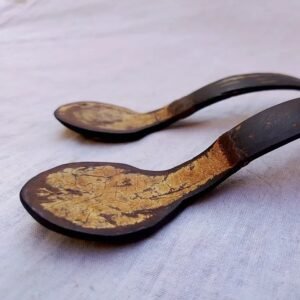coconut shell dessert spoon