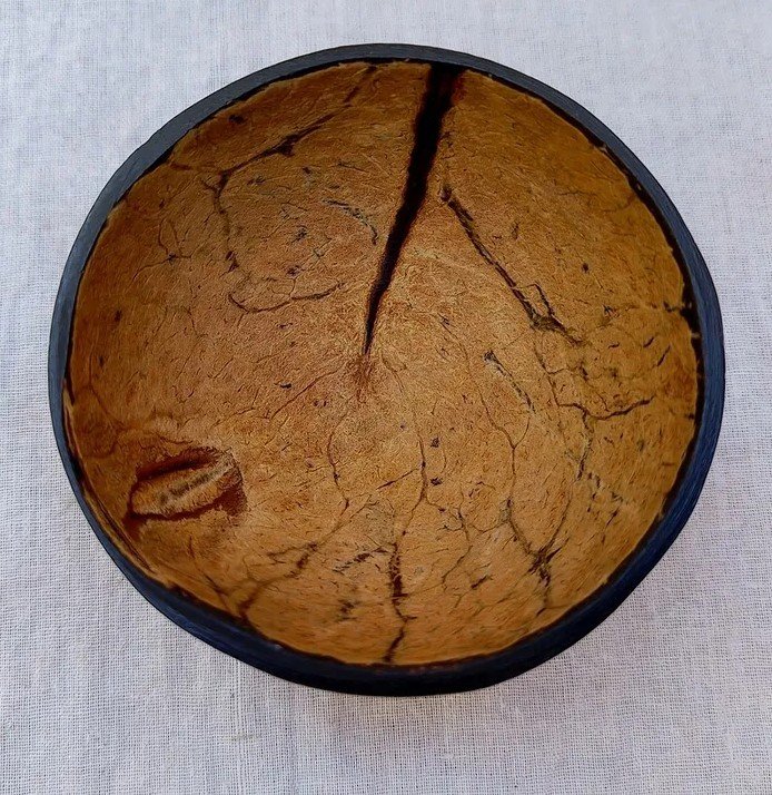 c0c0nut shell sous bowl c0c0nut shell sous bowl